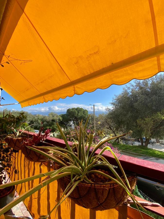 Hotel Rosie'S Club Ajaccio  Exteriér fotografie